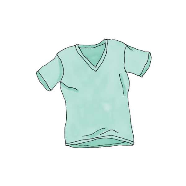 WordPress Pennant
